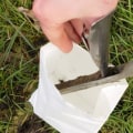Wat is de meest effectieve meststof voor gras?